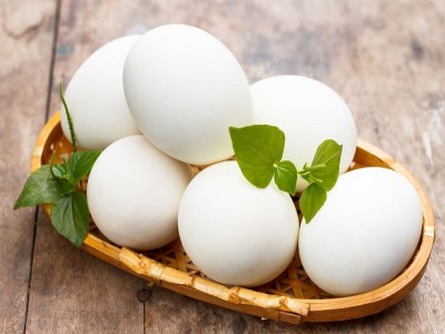 Fresh White Chicken Eggs